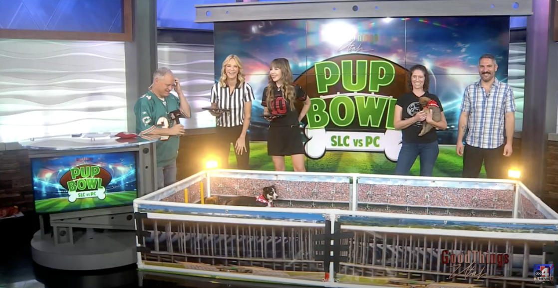 Nuzzles & Co. on ABC4's Good Things Utah Pup Bowl.